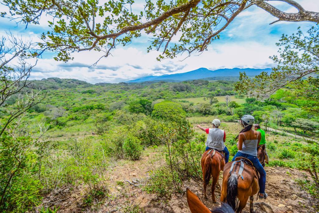 Vida Aventura Ranch Hotel Tanques ภายนอก รูปภาพ