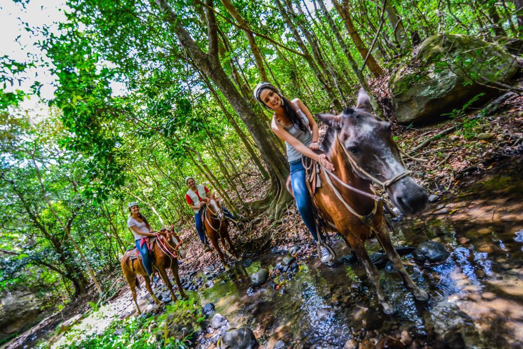 Vida Aventura Ranch Hotel Tanques ภายนอก รูปภาพ