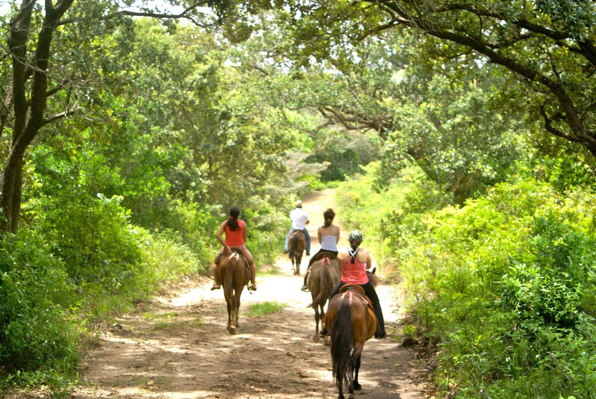 Vida Aventura Ranch Hotel Tanques ภายนอก รูปภาพ